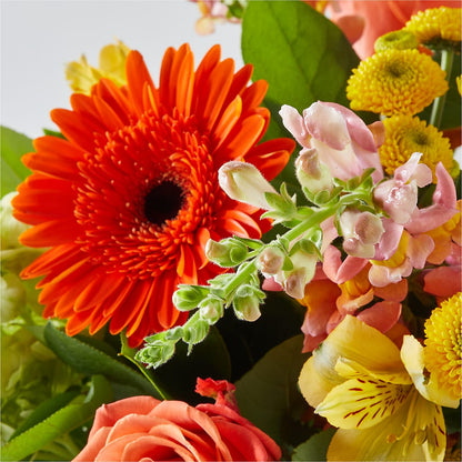 Autumn Sunshine Bouquet –  Boston City Florist, Boston MA