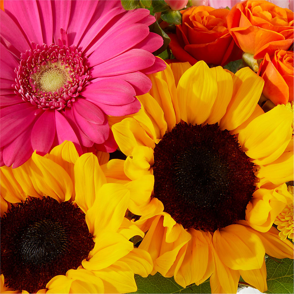 Beach Day Bouquet –  Boston City Florist, Boston MA