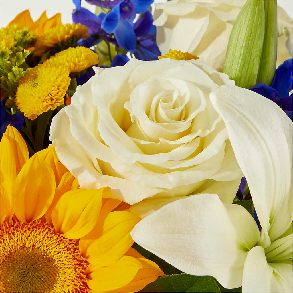Stargazing Bouquet –  Boston City Florist, Boston MA