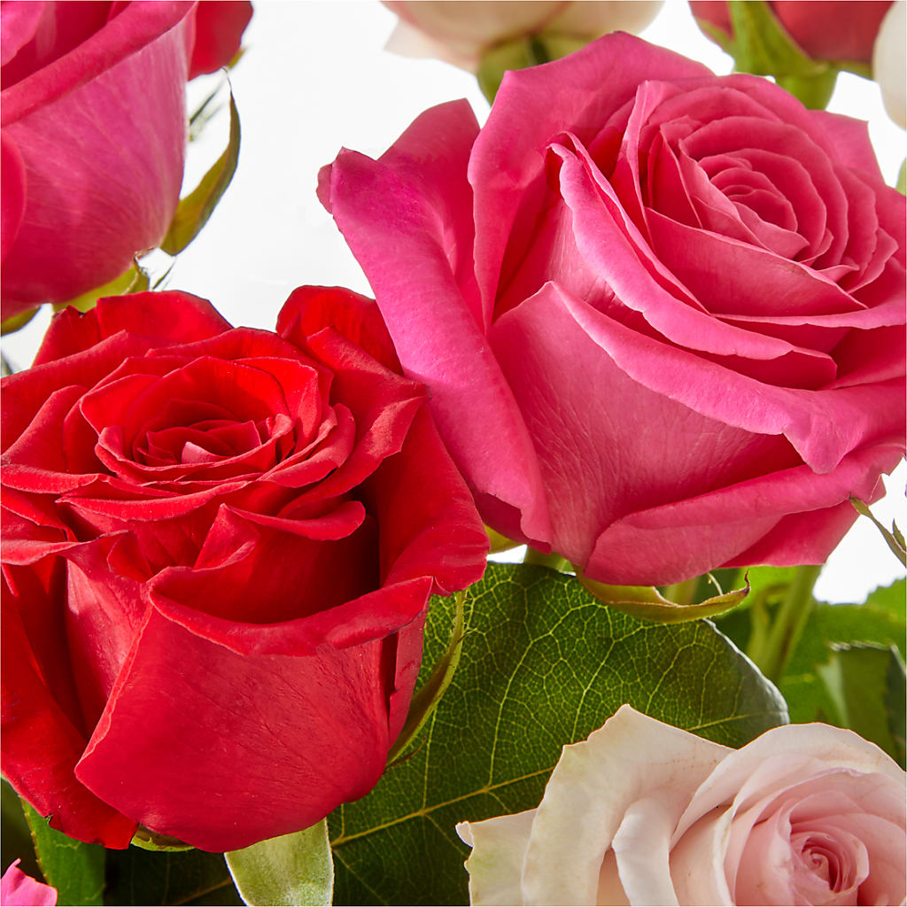 Charming Rose Bouquet –  Boston City Florist, Boston MA