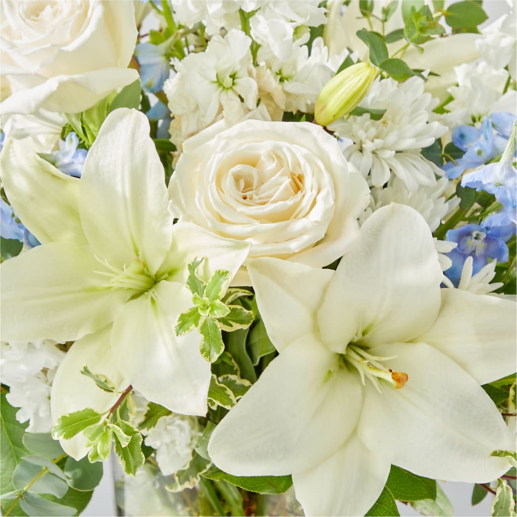 Peace of Mind Bouquet –  Boston City Florist, Boston MA