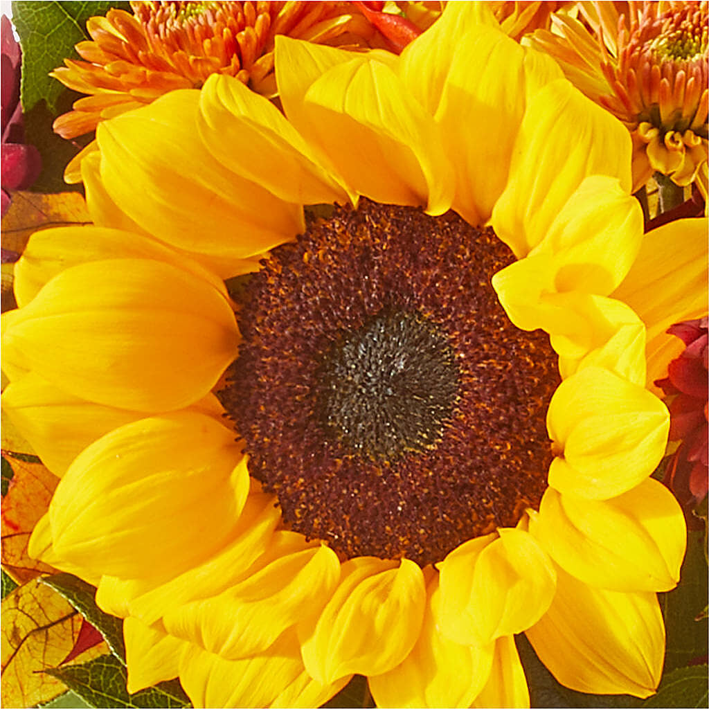 Sunny Side Bouquet –  Boston City Florist, Boston MA