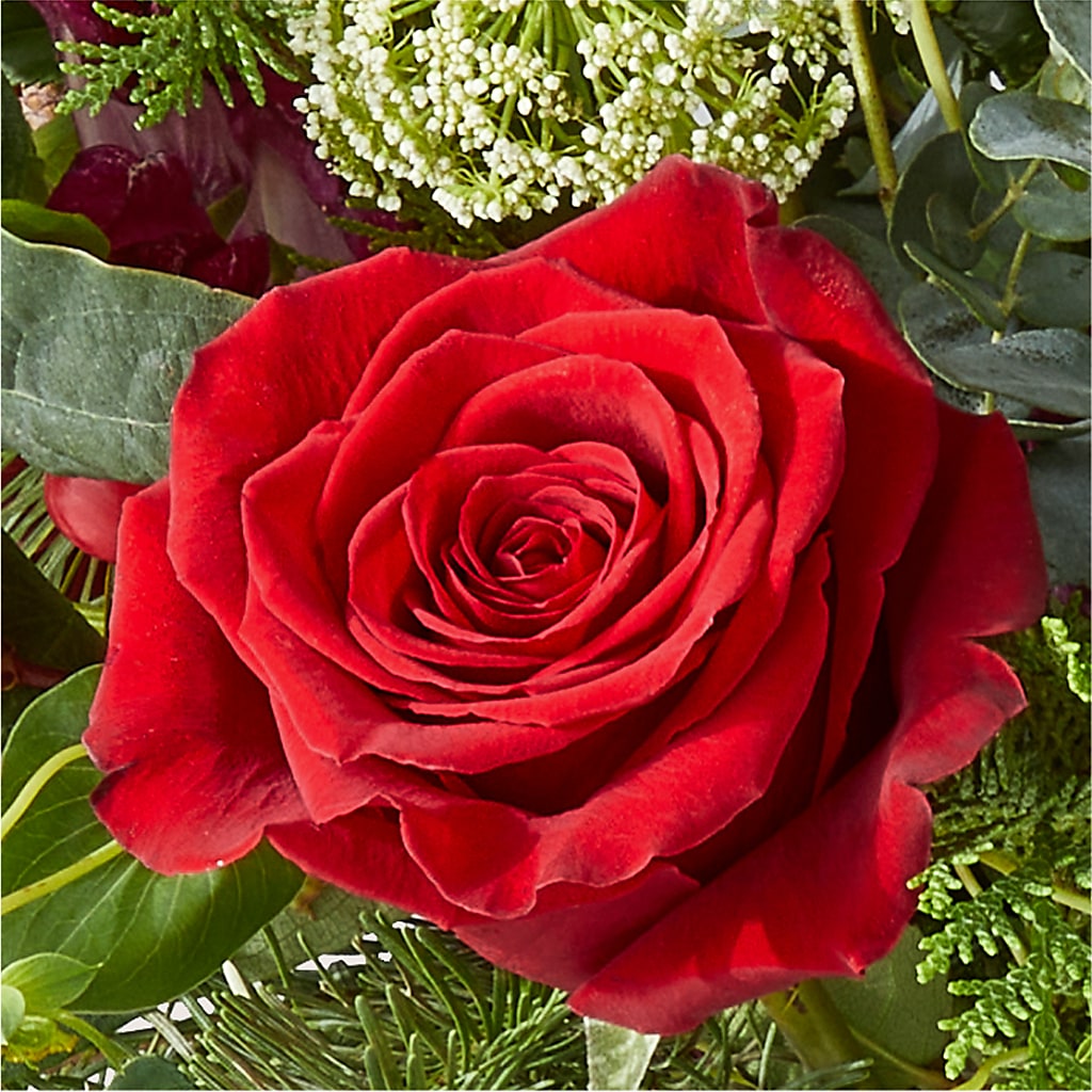 Cranberry Fizz Bouquet –  Boston City Florist, Boston MA