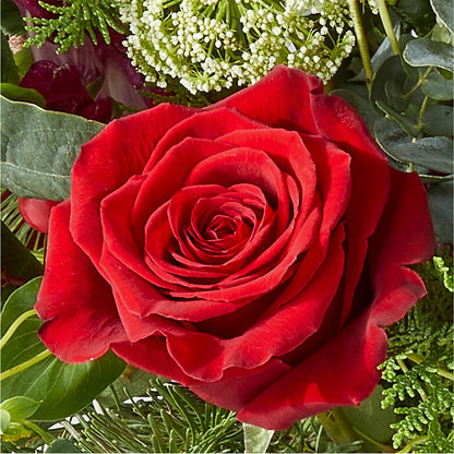 Cranberry Fizz Bouquet –  Boston City Florist, Boston MA