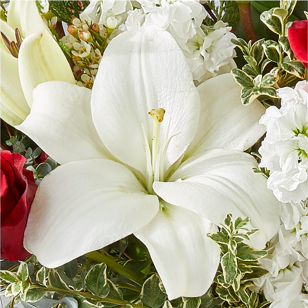 Twinkle Lights Bouquet –  Boston City Florist, Boston MA