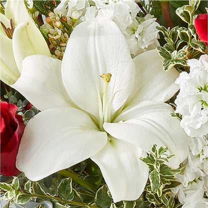 Twinkle Lights Bouquet –  Boston City Florist, Boston MA