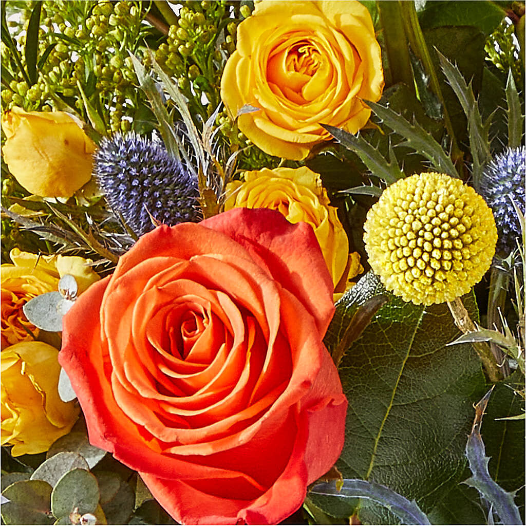 Disco Bouquet –  Boston City Florist, Boston MA