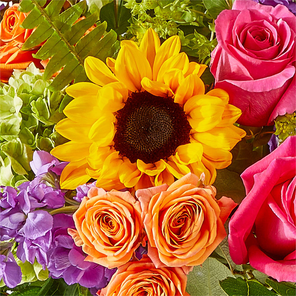 Vibrant Greetings Bouquet –  Boston City Florist, Boston MA
