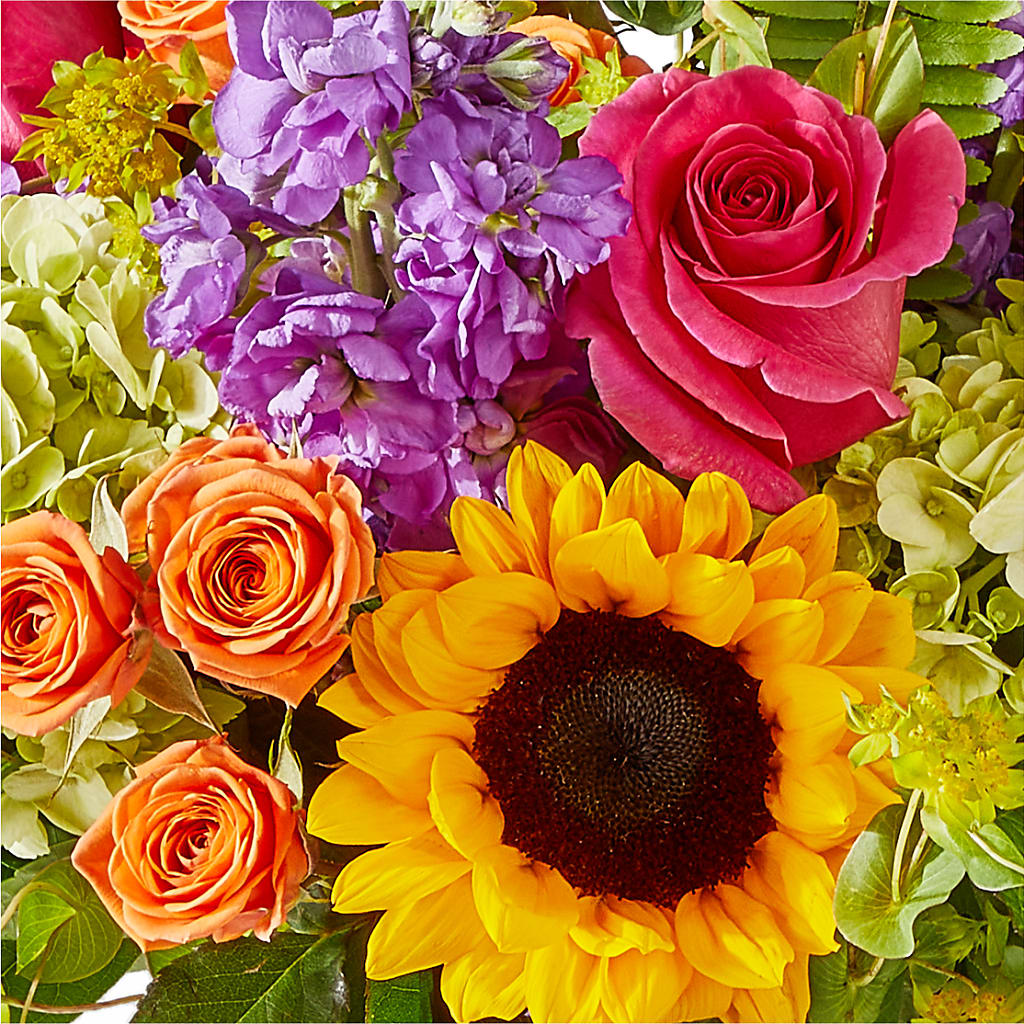Vibrant Greetings Bouquet –  Boston City Florist, Boston MA