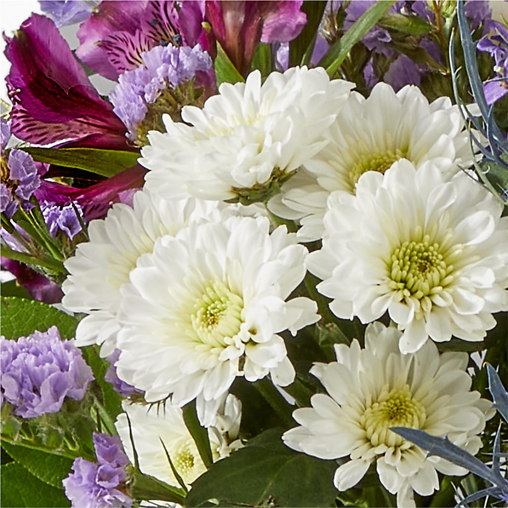Shooting Star Bouquet –  Boston City Florist, Boston MA