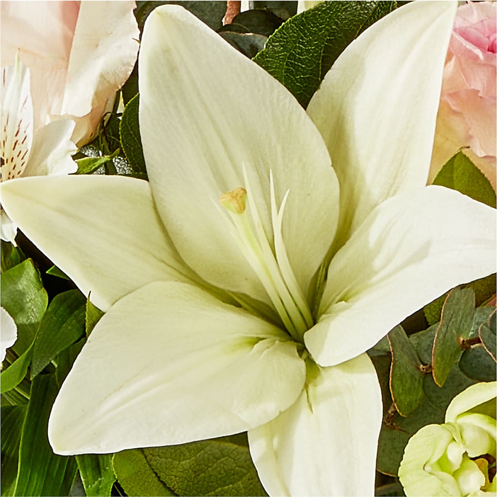 Ballet Slippers Bouquet –  Boston City Florist, Boston MA