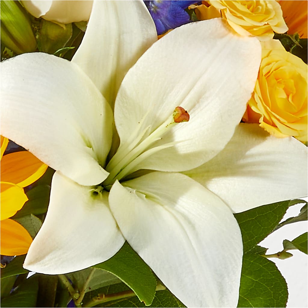 Wonderfully Sunny Bouquet –  Boston City Florist, Boston MA