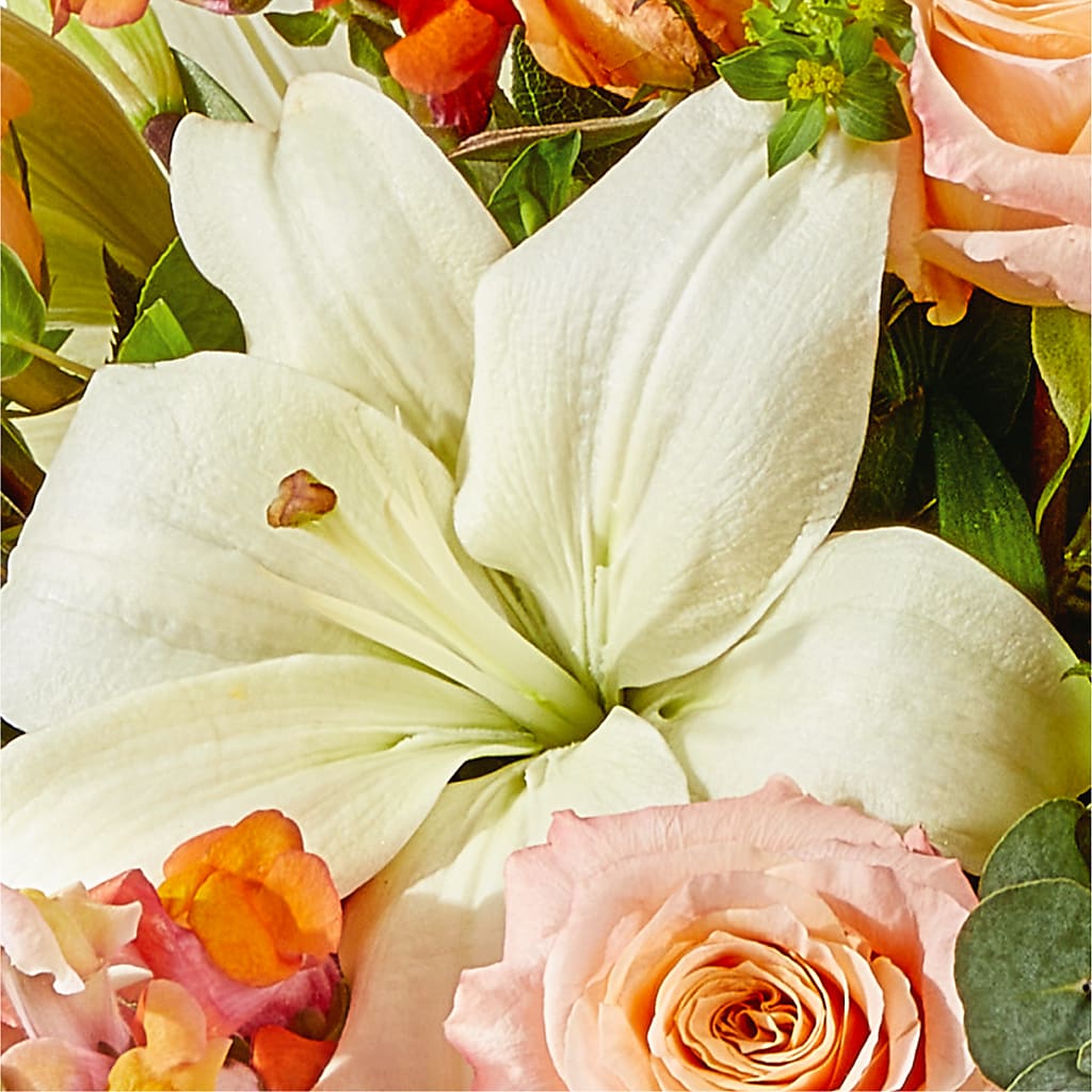 Grapefruit Splash Bouquet –  Boston City Florist, Boston MA