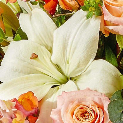 Grapefruit Splash Bouquet –  Boston City Florist, Boston MA