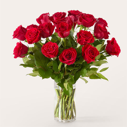 The One Red Rose Bouquet –  Boston City Florist, Boston MA