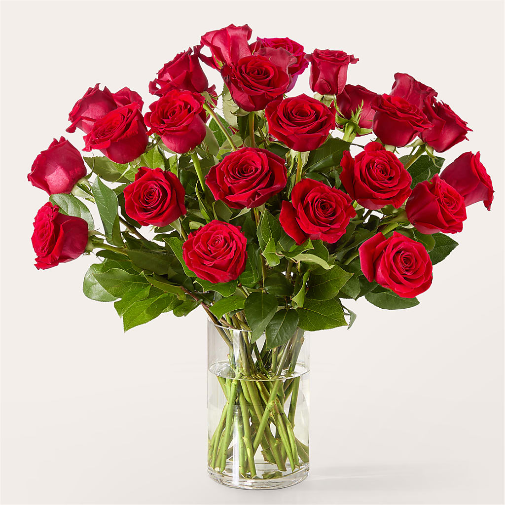 The One Red Rose Bouquet –  Boston City Florist, Boston MA
