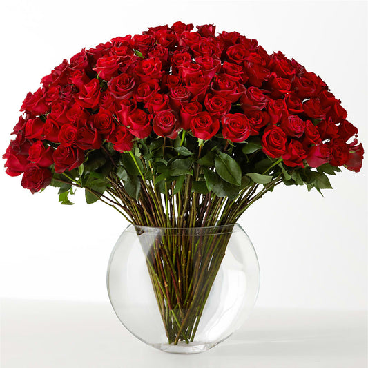 The Idealist –  Boston City Florist, Boston MA