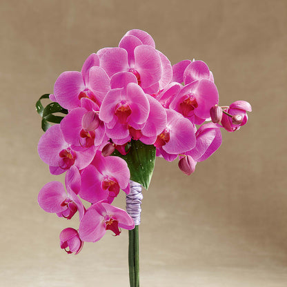 Glorious Bouquet –  Boston City Florist, Boston MA