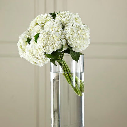 White Hydrangea Hand-Tied Bouquet –  Boston City Florist, Boston MA