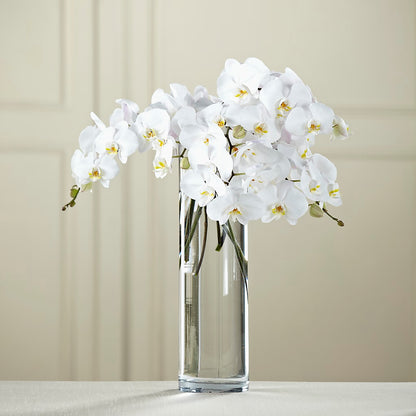 White Phalaenopsis Bouquet –  Boston City Florist, Boston MA